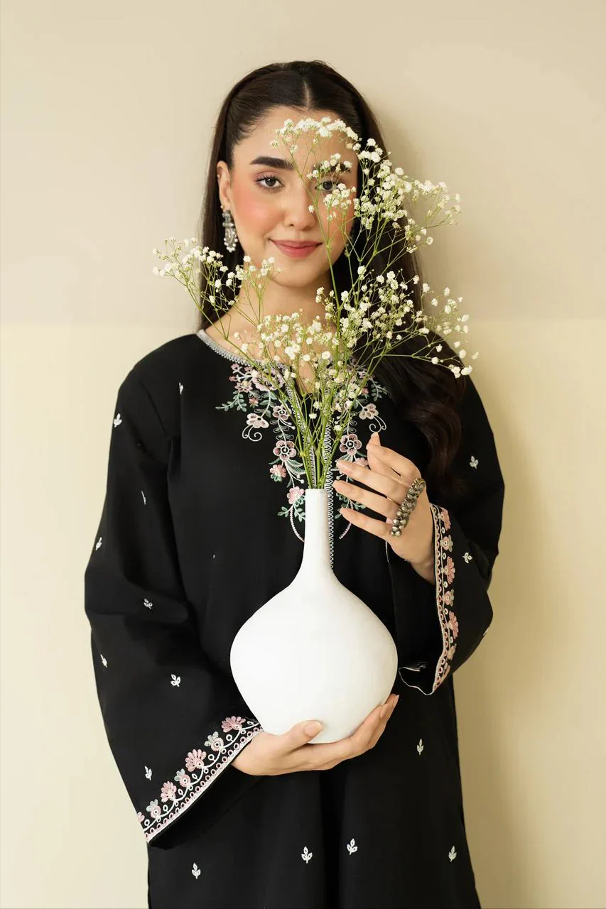 NOORVEEN ELEGANCE – 2PC EMBROIDERED SUIT